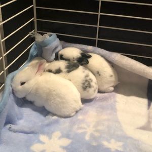 Meet your Posher, Cecilia